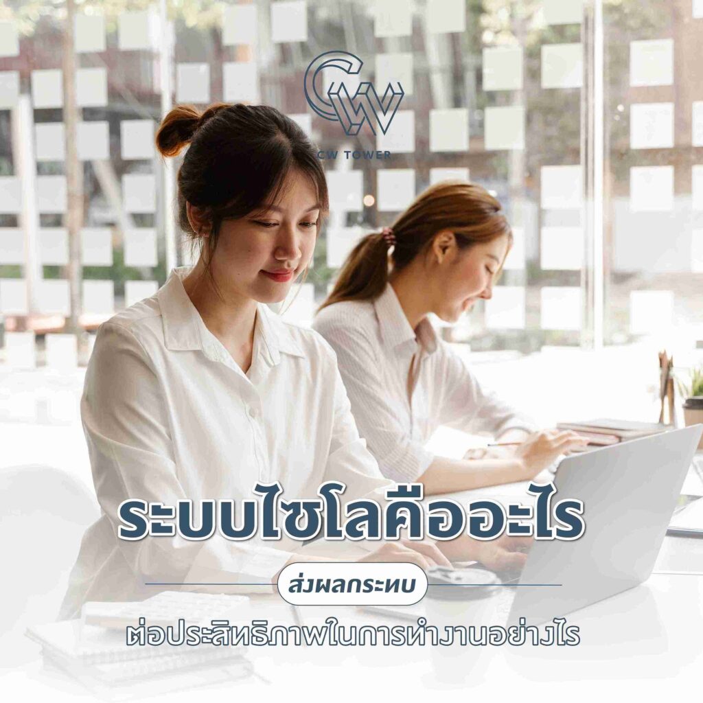 ระบบไซโลคืออะไร ส่งผลกระทบต่อประสิทธิภาพในการทำงานอย่างไร