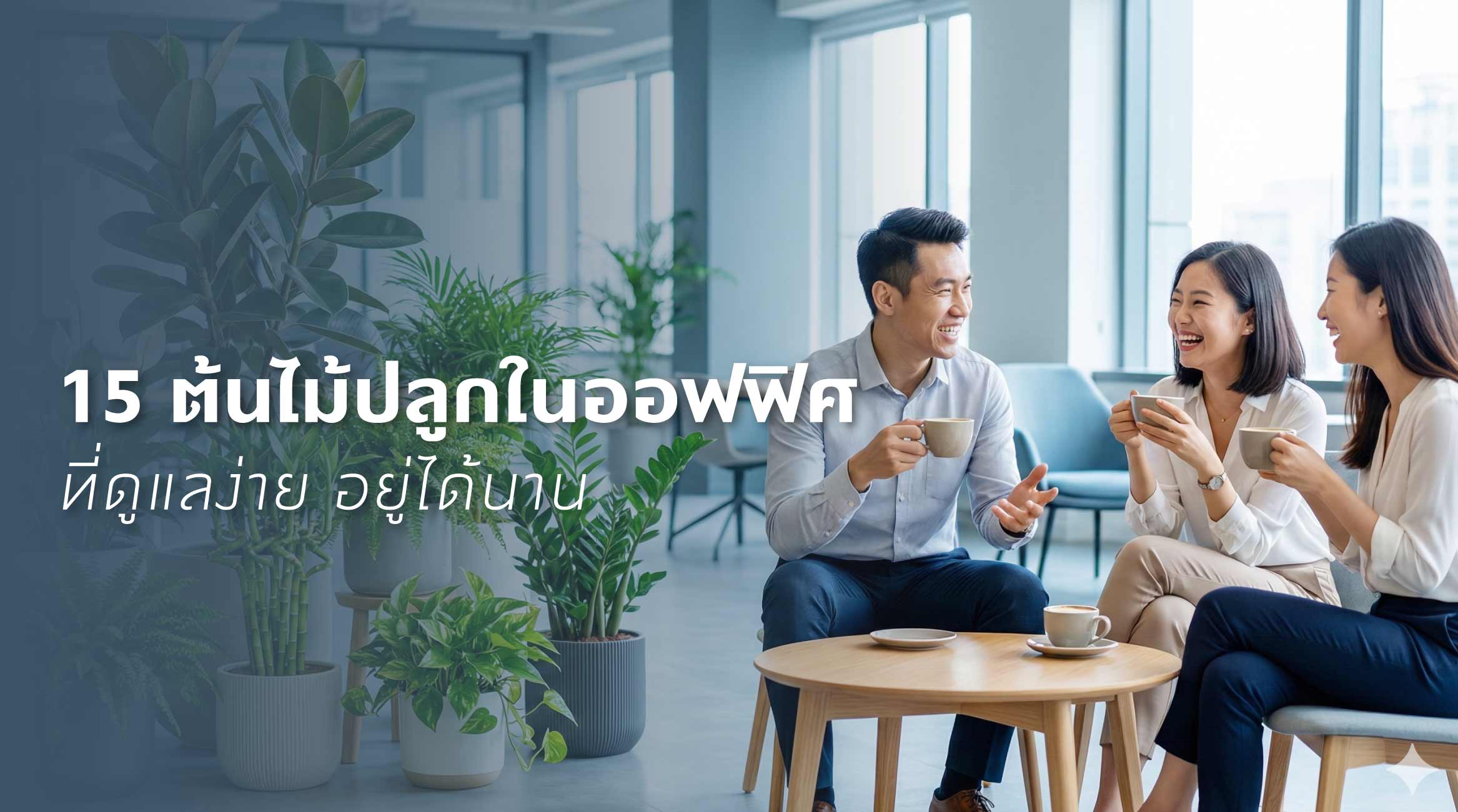 15 ต้นไม้ปลูกในออฟฟิศที่ดูแลง่าย อยู่ได้นาน