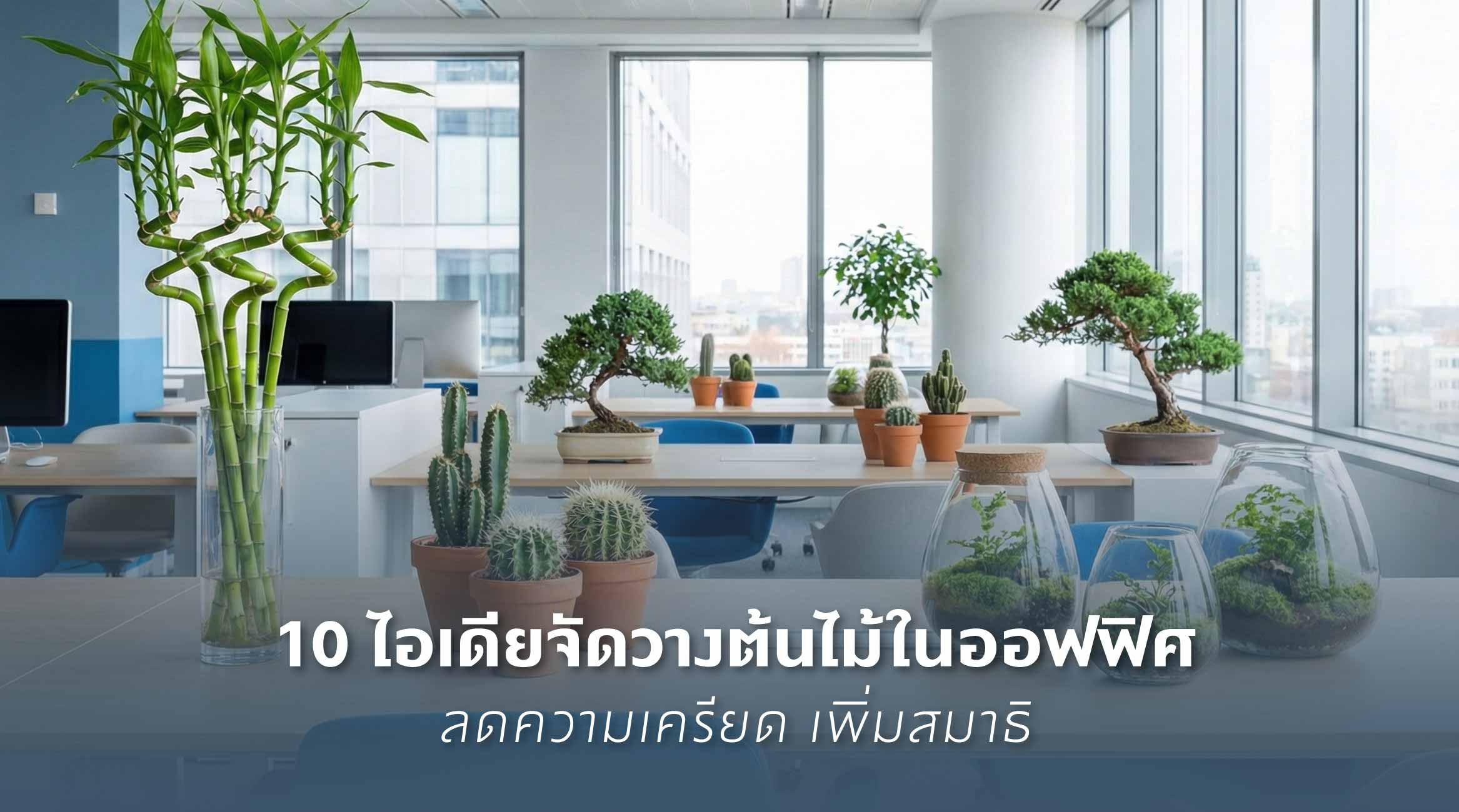 10 ไอเดียจัดวางต้นไม้ในออฟฟิศ ลดความเครียด เพิ่มสมาธิ