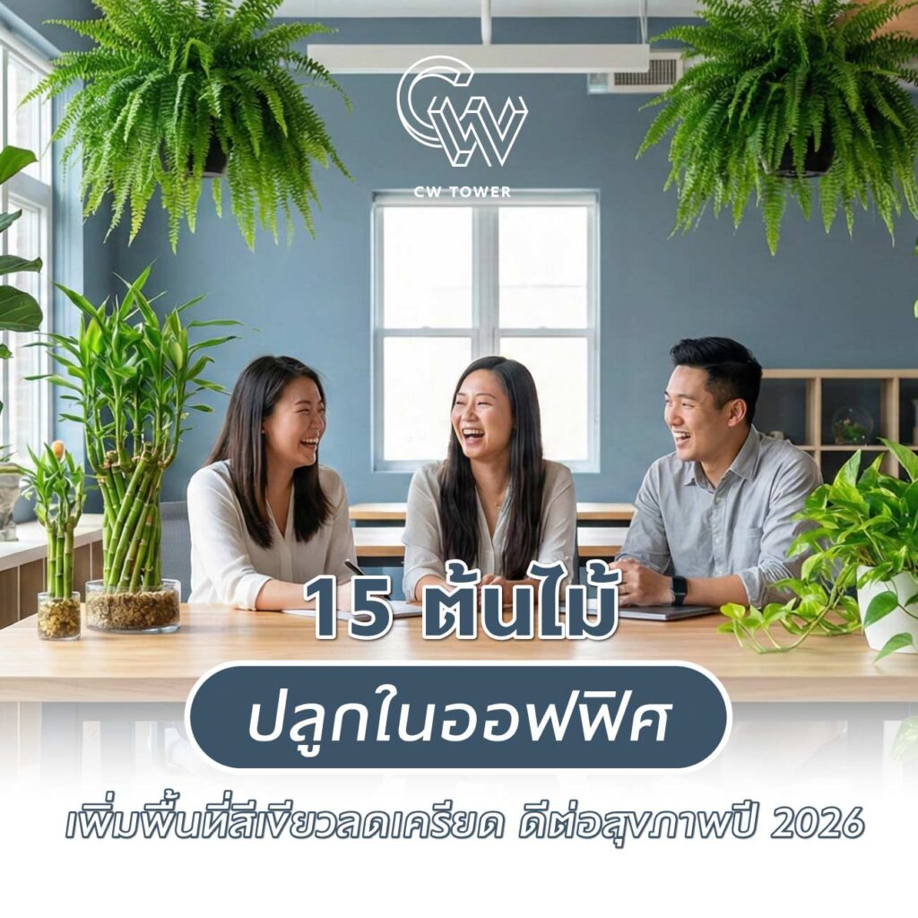 15 ต้นไม้ปลูกในออฟฟิศ เพิ่มพื้นที่สีเขียวลดเครียด ดีต่อสุขภาพปี 2026