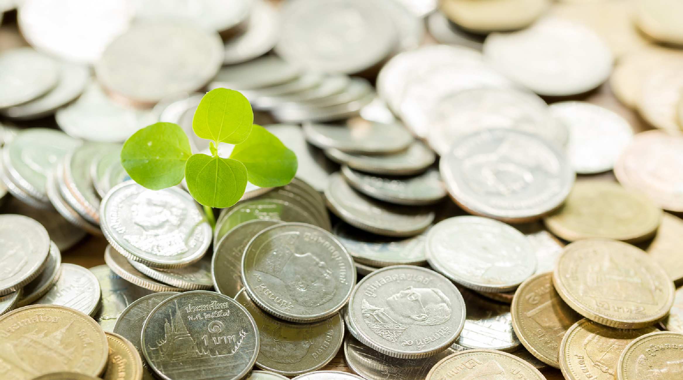 Green GDP คืออะไร? ทำไมโลกเริ่มพูดถึง GDP สีเขียว